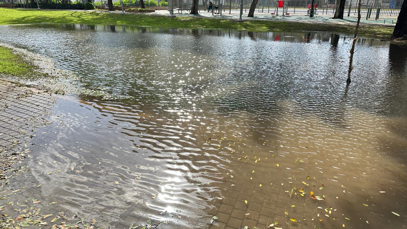 WhatsApp Image 2024-01-30 at 19.11.10 (1).jpeg